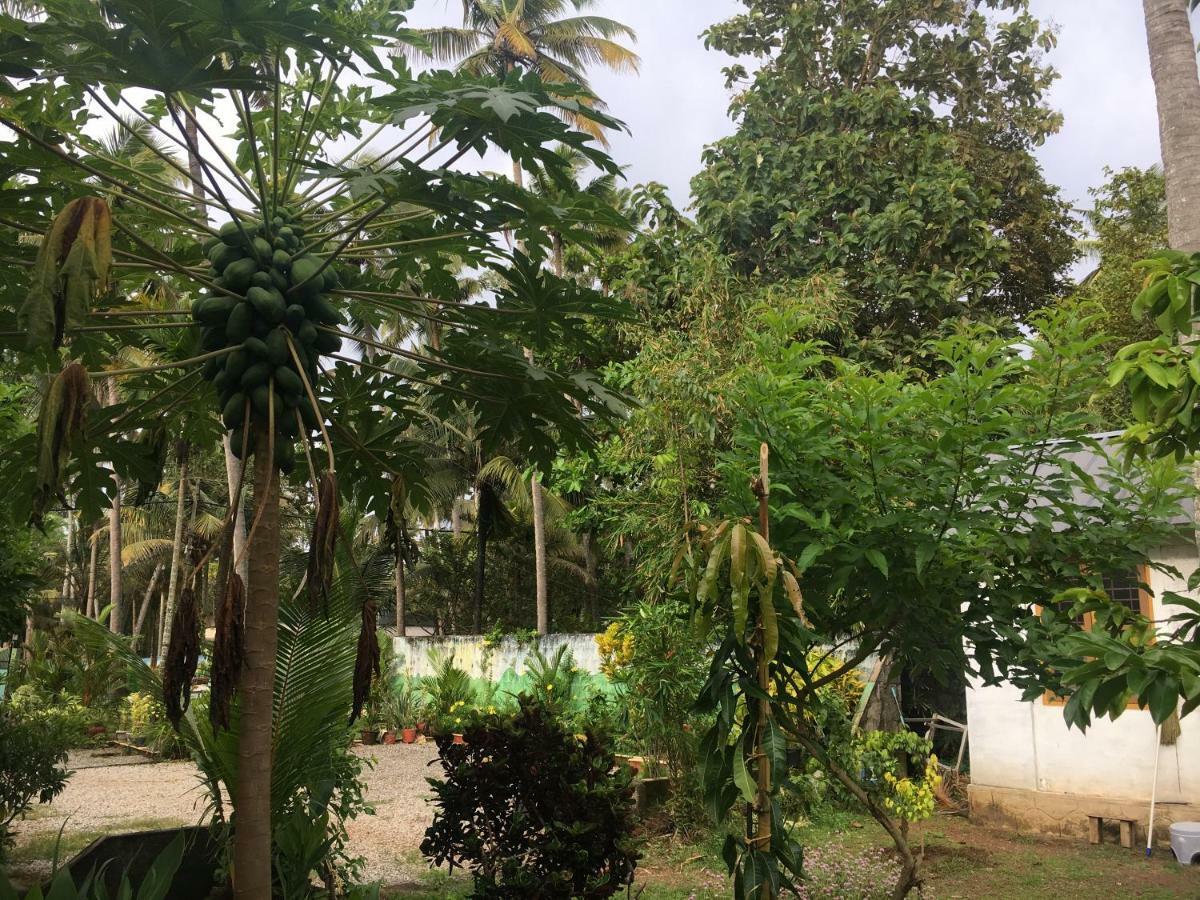 Divine Bliss Beach Resort Varkala Exterior foto